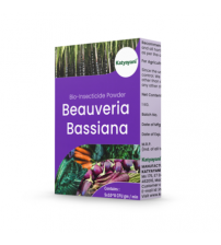 Katyayani Beauveria Bassiana Bio Pesticide 1 Kg